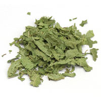 Lemon Verbena 1 Oz. (Aloysia triphylla)